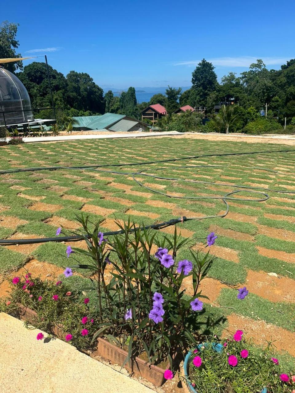Dnamie Glamping - Lux Tent Pulau Perhentian Kecil المظهر الخارجي الصورة